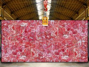 Precious Quartz Slabs