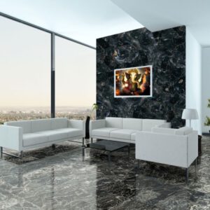 Petrified Wood Slabs