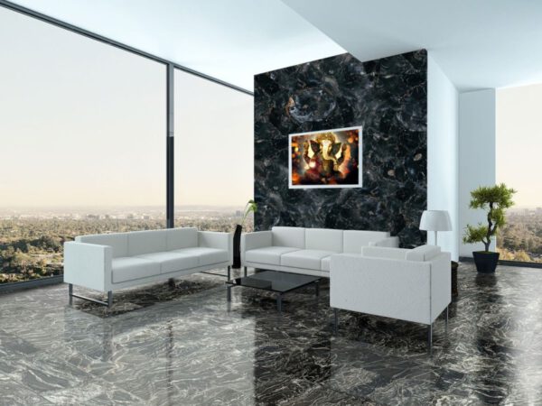 Petrified Wood Slabs