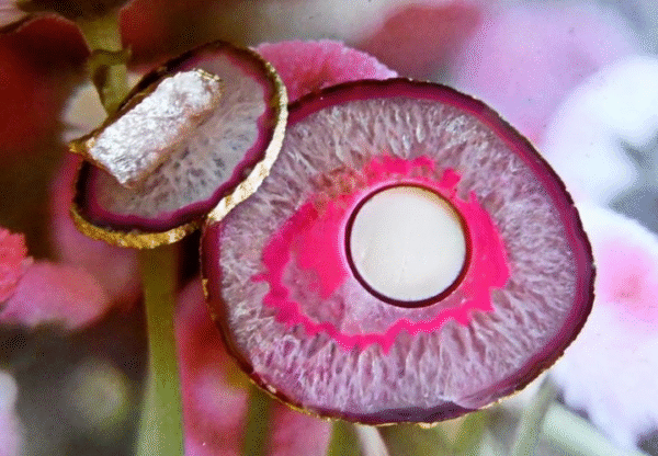 Agate Tealight & Candle Holder - Image 3