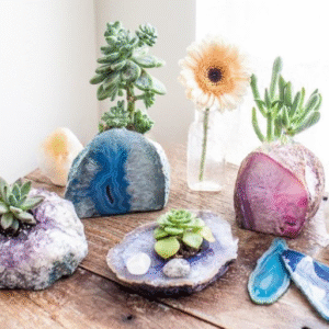 Agate Geod Air Plant Holder