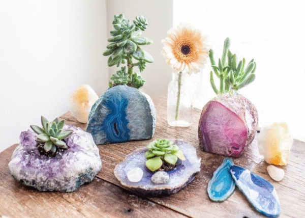 Agate Geod Air Plant Holder