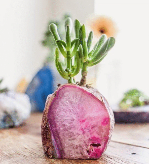 Agate Geod Air Plant Holder - Image 5