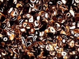 Agate umbra with gold