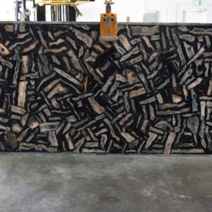 Black Agate wild