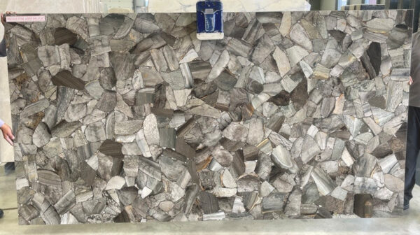 Jasper shellflint