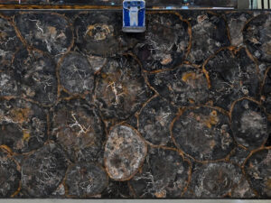 Petrified wood black white circular