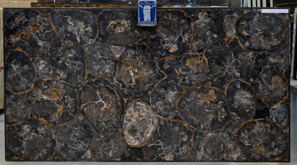 Petrified wood black white circular