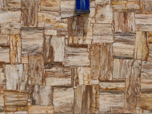 Petrified wood cremo retro
